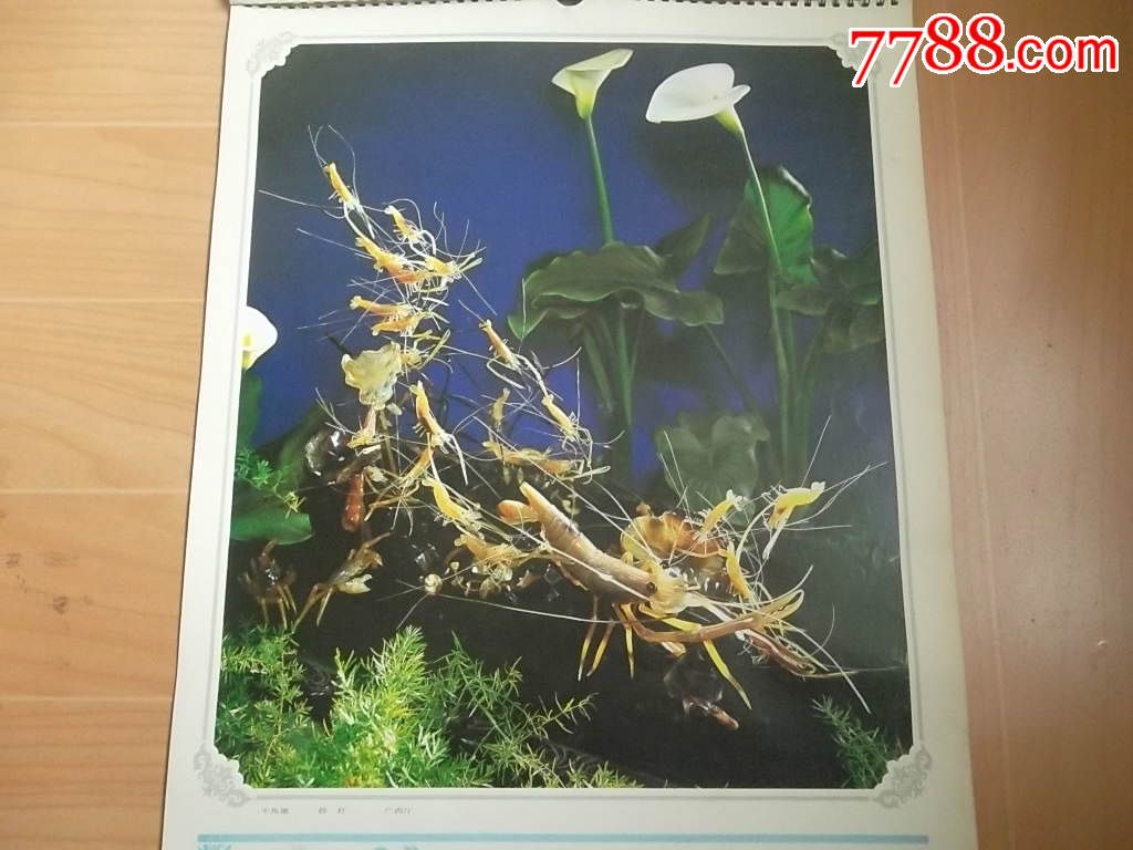 方寸之間的靈動 賞人民大會堂廣西廳牛角雕《群蝦》印刷版